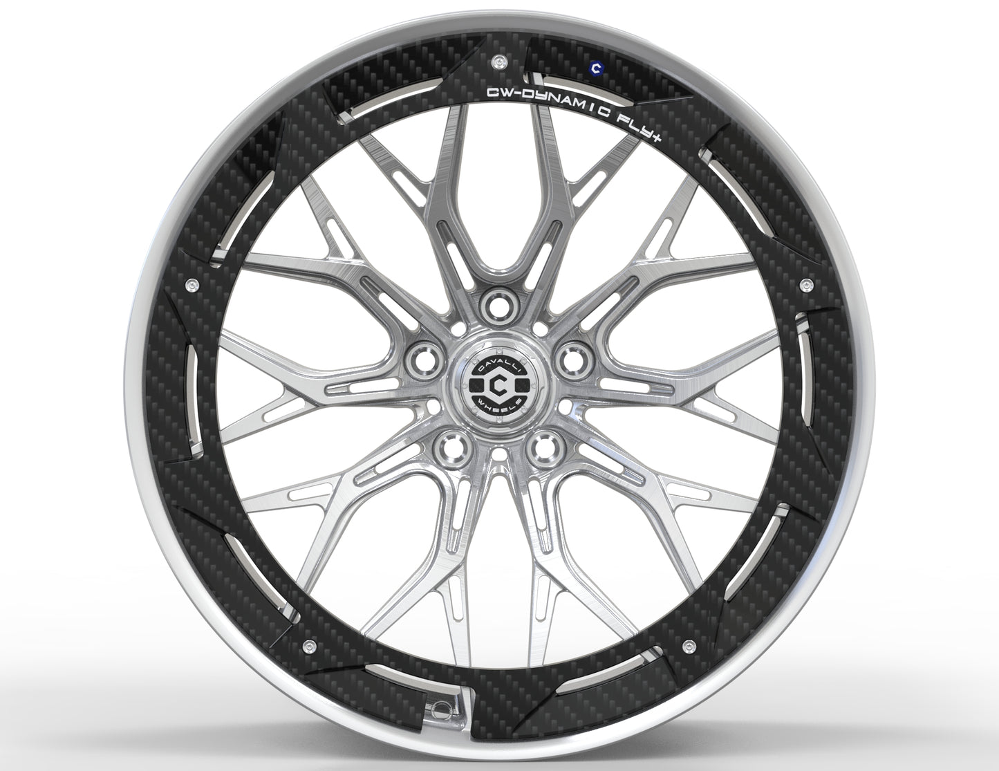 CW-Dynamic Fly+