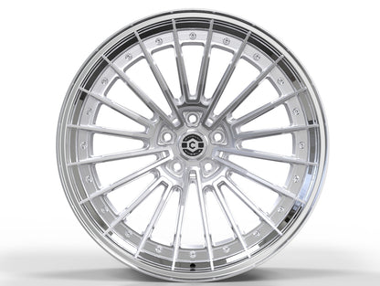 CW-SS2