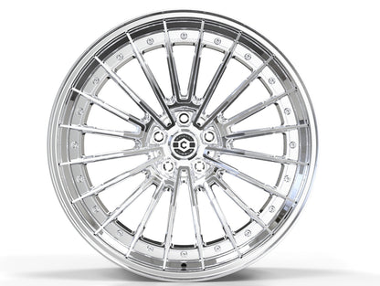 CW-SS2