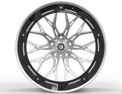 CW-Dynamic Fly+